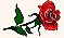 Little Flower
